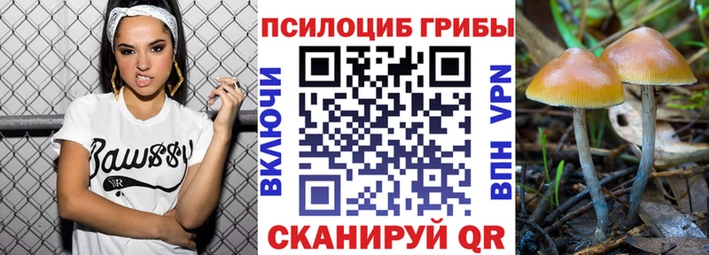 Галлюциногенные грибы Cubensis  mega вход  Сясьстрой 